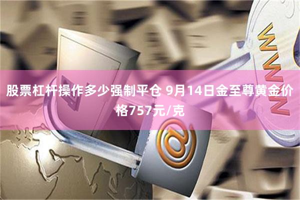 股票杠杆操作多少强制平仓 9月14日金至尊黄金价格757元/克