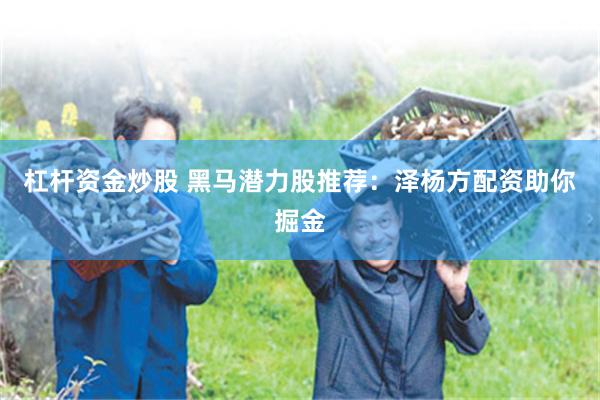 杠杆资金炒股 黑马潜力股推荐：泽杨方配资助你掘金