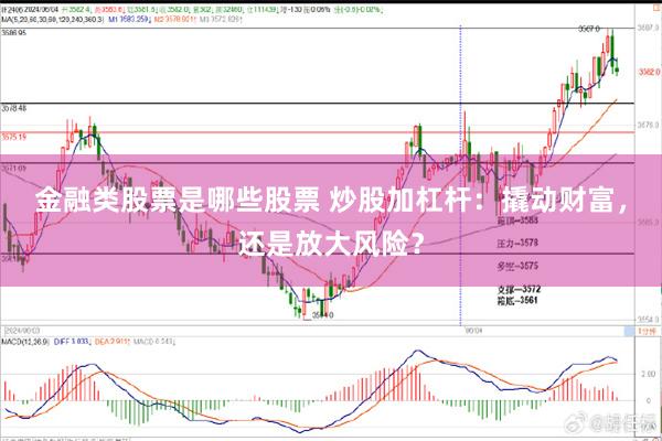 金融类股票是哪些股票 炒股加杠杆：撬动财富，还是放大风险？