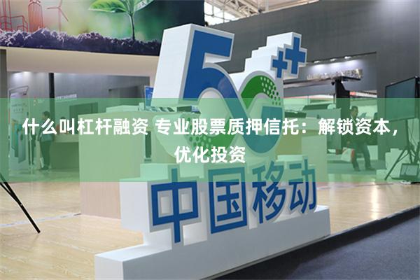 什么叫杠杆融资 专业股票质押信托：解锁资本，优化投资