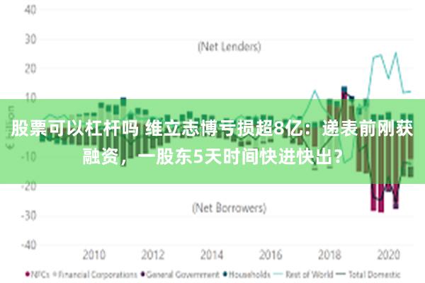 股票可以杠杆吗 维立志博亏损超8亿：递表前刚获融资，一股东5天时间快进快出？