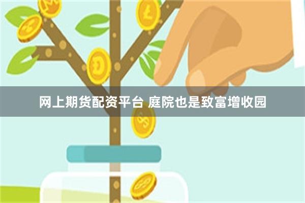 网上期货配资平台 庭院也是致富增收园