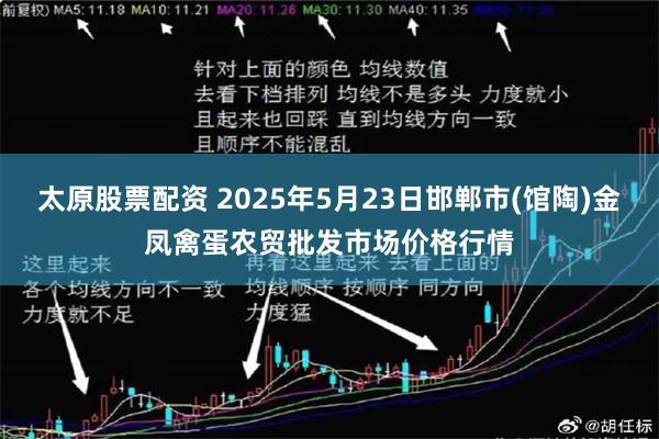 太原股票配资 2025年5月23日邯郸市(馆陶)金凤禽蛋农贸批发市场价格行情