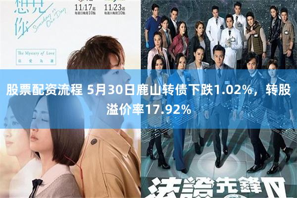 股票配资流程 5月30日鹿山转债下跌1.02%，转股溢价率17.92%