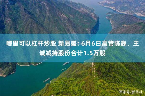 哪里可以杠杆炒股 新易盛: 6月6日高管陈巍、王诚减持股份合计1.5万股