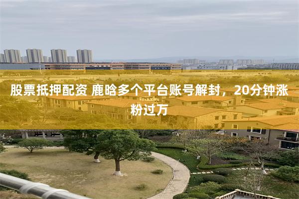 股票抵押配资 鹿晗多个平台账号解封，20分钟涨粉过万