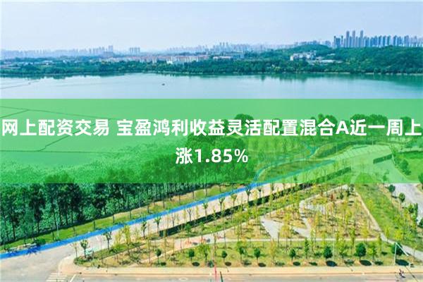网上配资交易 宝盈鸿利收益灵活配置混合A近一周上涨1.85%