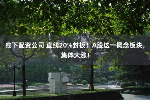 线下配资公司 直线20%封板！A股这一概念板块，集体大涨！