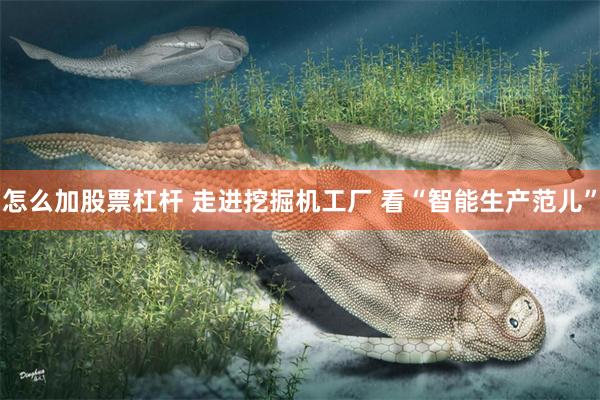 怎么加股票杠杆 走进挖掘机工厂 看“智能生产范儿”