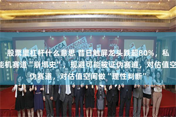 股票里杠杆什么意思 昔日触屏龙头跌超80%,私募合伙人反思智能机赛道“崩塌史”,规避可能被证伪赛道,对估值空间做“理性判断”