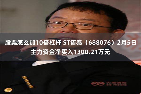 股票怎么加10倍杠杆 ST诺泰（688076）2月5日主力资金净买入1300.21万元