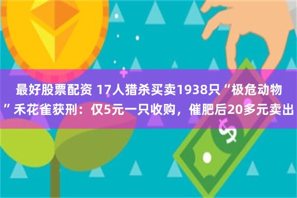 最好股票配资 17人猎杀买卖1938只“极危动物”禾花雀获刑：仅5元一只收购，催肥后20多元卖出