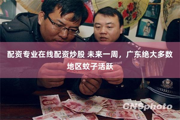 配资专业在线配资炒股 未来一周，广东绝大多数地区蚊子活跃
