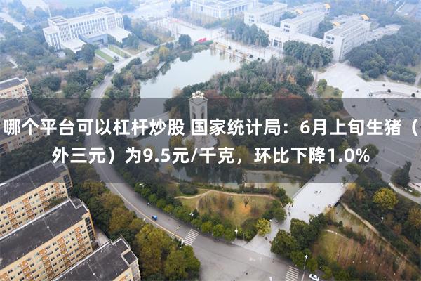 哪个平台可以杠杆炒股 国家统计局:6月上旬生猪(外三元)为9.5元/千克,环比下降1.0%