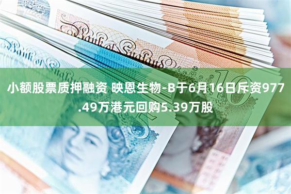 小额股票质押融资 映恩生物-B于6月16日斥资977.49万港元回购5.39万股