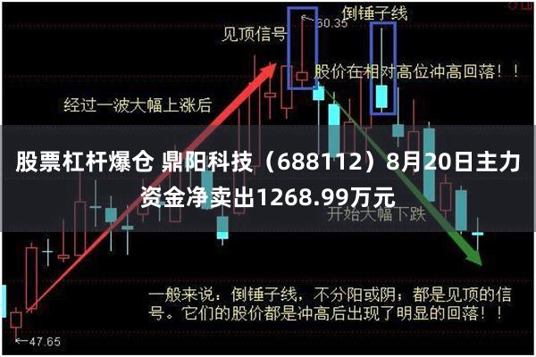 股票杠杆爆仓 鼎阳科技（688112）8月20日主力资金净卖出1268.99万元