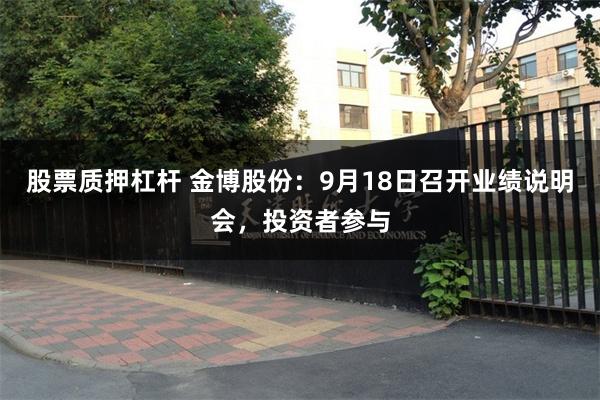 股票质押杠杆 金博股份：9月18日召开业绩说明会，投资者参与