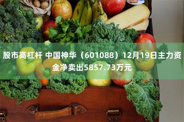 股市高杠杆 中国神华（601088）12月19日主力资金净卖出5857.73万元