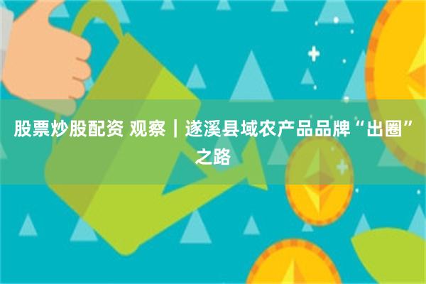 股票炒股配资 观察｜遂溪县域农产品品牌“出圈”之路