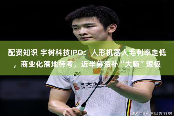 配资知识 宇树科技IPO:人形机器人毛利率走低,商业化落地待考,近半募资补“大脑”短板