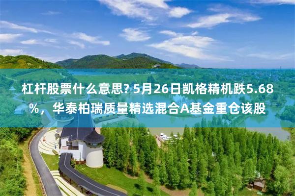 杠杆股票什么意思? 5月26日凯格精机跌5.68%,华泰柏瑞质量精选混合A基金重仓该股