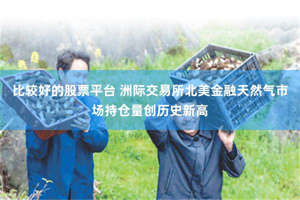 比较好的股票平台 洲际交易所北美金融天然气市场持仓量创历史新高