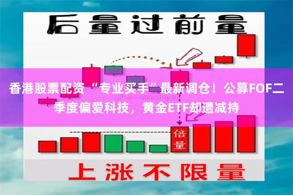 香港股票配资 “专业买手”最新调仓！公募FOF二季度偏爱科技，黄金ETF却遭减持