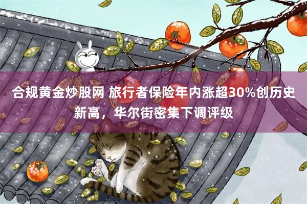 合规黄金炒股网 旅行者保险年内涨超30%创历史新高，华尔街密集下调评级