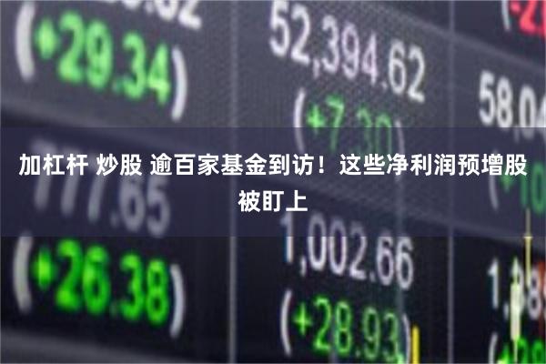 加杠杆 炒股 逾百家基金到访！这些净利润预增股被盯上