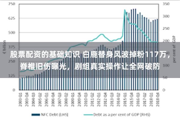 股票配资的基础知识 白鹿替身风波掉粉117万，脊椎旧伤曝光，剧组真实操作让全网破防