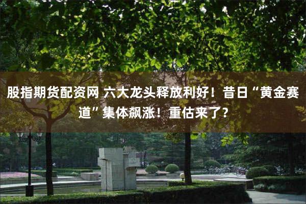 股指期货配资网 六大龙头释放利好！昔日“黄金赛道”集体飙涨！重估来了？