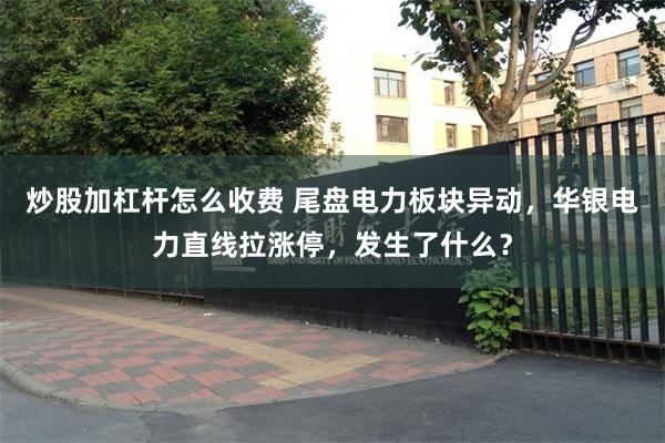 炒股加杠杆怎么收费 尾盘电力板块异动，华银电力直线拉涨停，发生了什么？