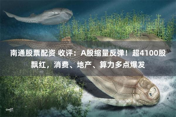 南通股票配资 收评：A股缩量反弹！超4100股飘红，消费、地产、算力多点爆发