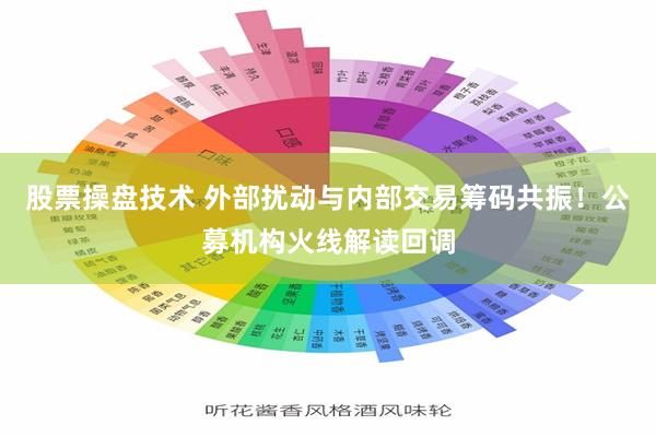 股票操盘技术 外部扰动与内部交易筹码共振！公募机构火线解读回调