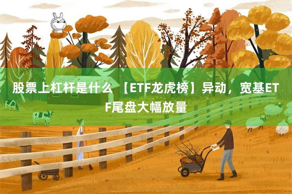 股票上杠杆是什么 【ETF龙虎榜】异动，宽基ETF尾盘大幅放量
