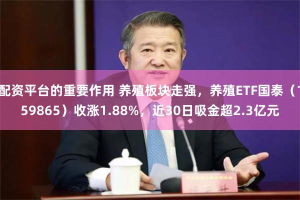 配资平台的重要作用 养殖板块走强，养殖ETF国泰（159865）收涨1.88%，近30日吸金超2.3亿元