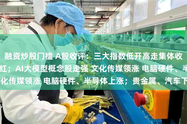 融资炒股门槛 A股收评：三大指数低开高走集体收涨 超3100只个股飘红；AI大模型概念股走强 文化传媒领涨 电脑硬件、半导体上涨；贵金属、汽车下跌