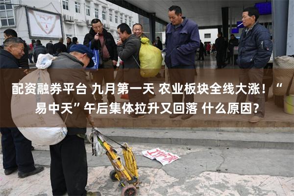 配资融券平台 九月第一天 农业板块全线大涨！“易中天”午后集体拉升又回落 什么原因？