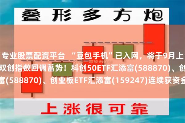 专业股票配资平台  “豆包手机”已入网，将于9月上市！美伊冲突升级，双创指数回调蓄势！科创50ETF汇添富(588870)、创业板ETF汇添富(159247)连续获资金关注