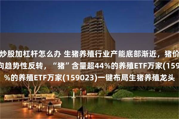 炒股加杠杆怎么办 生猪养殖行业产能底部渐近，猪价有望由阶段性反弹转向趋势性反转，“猪”含量超44%的养殖ETF万家(159023)一键布局生猪养殖龙头
