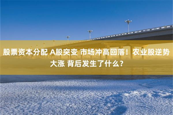 股票资本分配 A股突变 市场冲高回落!农业股逆势大涨 背后发生了什么?