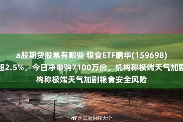 a股期货股票有哪些 粮食ETF鹏华(159698)标的指数收涨超2.5%，今日净申购7100万份，机构称极端天气加剧粮食安全风险