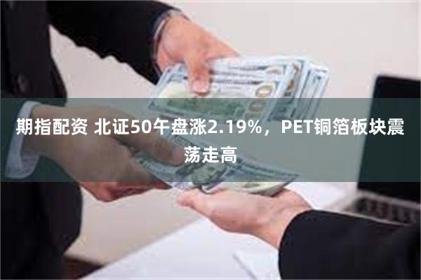期指配资 北证50午盘涨2.19%，PET铜箔板块震荡走高