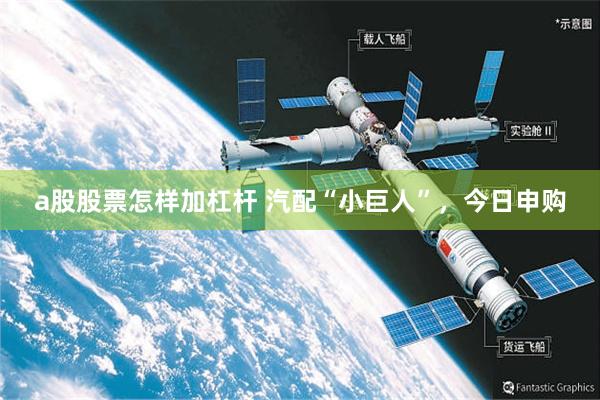 a股股票怎样加杠杆 汽配“小巨人”，今日申购