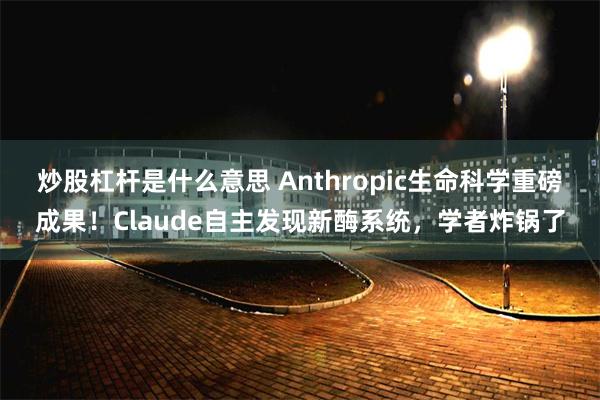 炒股杠杆是什么意思 Anthropic生命科学重磅成果！Claude自主发现新酶系统，学者炸锅了