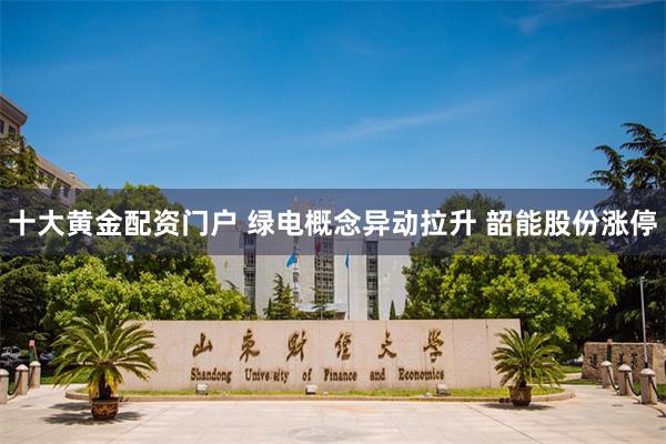 十大黄金配资门户 绿电概念异动拉升 韶能股份涨停